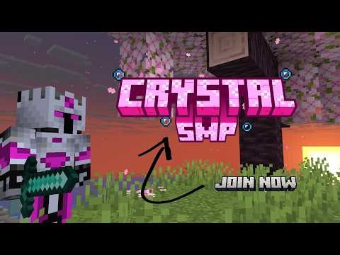 This is Minecrafts BEST SMP (Smp Applications Open)