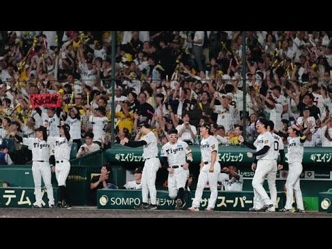 涙の及川を兄貴分ドリスが抱きしめた瞬間、甲子園が感動に包まれた奇跡の一日⚾️😭💖