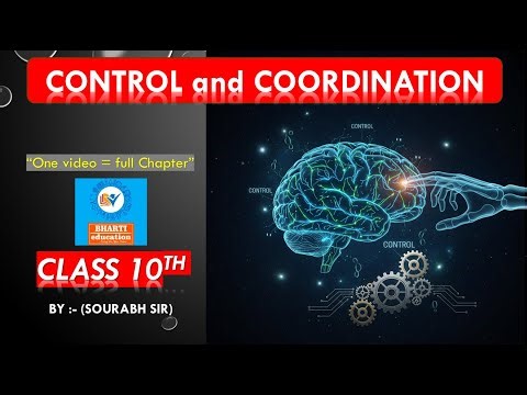 Class 10 Biology: Control and Coordination | Full Chapter LIVE Revision