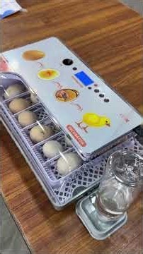 Wonderful 27 eggs Full automatic Mini egg incubator - 100% Result