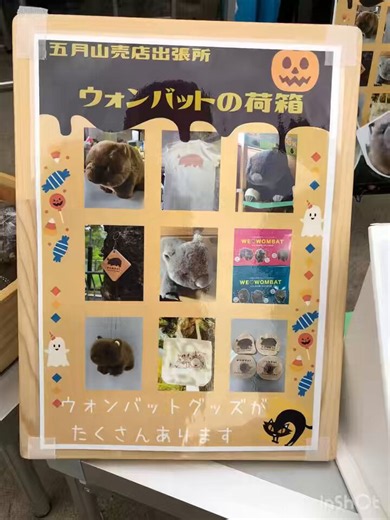 モン on X: "#wombatober 世界ウォンバットの日 2026.10.22 4年前の記念すべき 第一回ウォンバットの日 2022.10.22 五月山公園の広場で開催でした。 公式ショップは軽トラで 【ウォンバットの荷箱】として出店でした 懐かしいなぁ☺️ #五月山動物園 #ウォンバット #wombat #WorldWombatDay" / X
