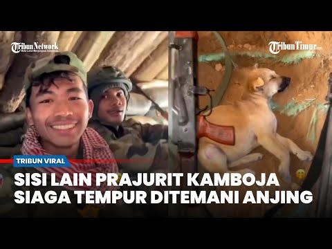 Sisi Lain Prajurit Kamboja, Ditemani Anjing dan Senjatanya Siaga Tempur Thailans dalam Parit