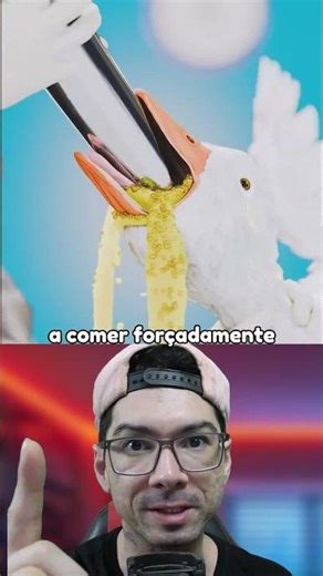 NUNCA FAÇA ISSO COM O POKEMON PATÃO