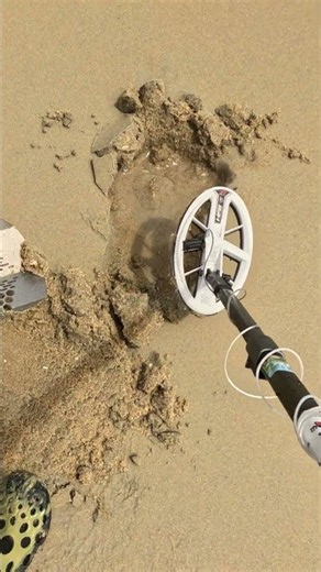 Beach Metal Detecting: What's under your feet!