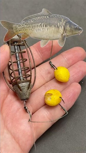 Rigging a carp rig #fishing #shorts