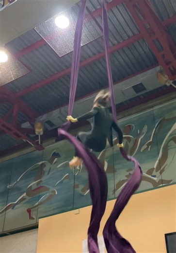 Explore Aerial Gymnastics Techniques and Tips