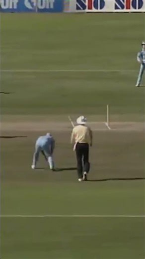 CWC final 1992 final #pak vs #eng what happened out but no ball hhh hhh 😁🤣 #viral #fans