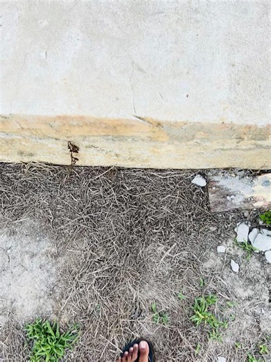 Guyana travel guess: Where in Guyana is this?