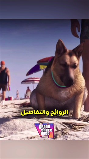 ‏المعلومات الجديدة في قراند ٦ #gta6 #rockstar #gaming #ps5 #viral | gta 6