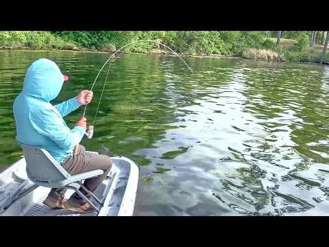 Easy Way To Locate & Catch GIANT Bluegill & Shellcracker In Your Lake