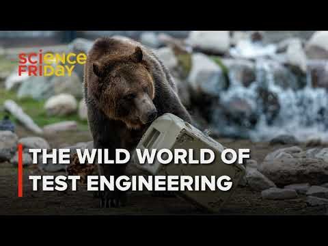 Is that garbage can bear resistant? These bears will find out