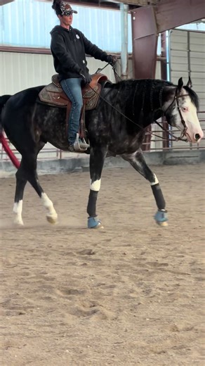 Captivating Versace: A New Year Barn Experience