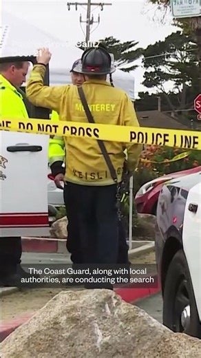 California swimmer missing after possible shark attack