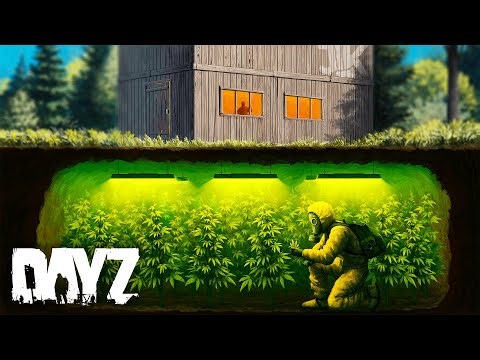 Building a HIDDEN Lab Operation! - DayZ
