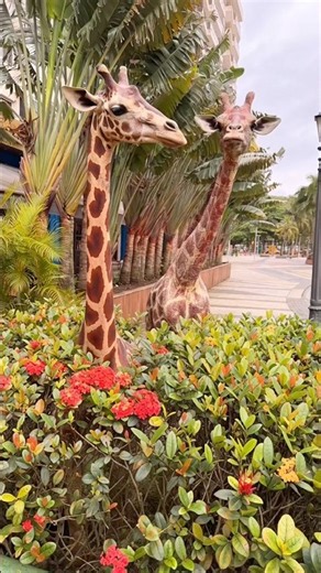 These Cute GIRAFFES Were Actually ALIVE and REAL! 😱🦒❤️ #Giraffe # #funny #family