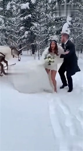 The Reindeer Bolted — and Ripped Off the Outer Wedding Gown 😱🦌❄️💍
