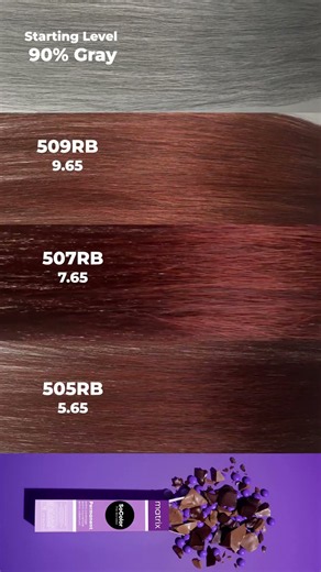 Matrix SoColor Chocolate Permanent Shades | Living Shade Chart | 90% Gray Hair | Warm Tones