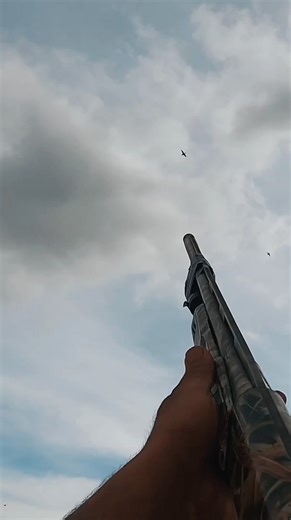 These are the types of shots that I really like ! #duckhunting #waterfowl #hunting @bossshotshells