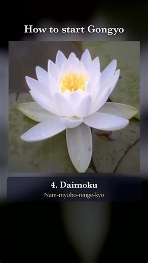 How to start Gongyo: the order, step by step | Nam Myoho Renge Kyo | SGI