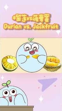 Durian vs. Jackfruit—Which one would you choose? #durian #jackfruit #fruit #food