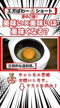 【夢のご飯】ビッグマックを炊き込みご飯にしてみた #エガぱわー #エガちゃんねる