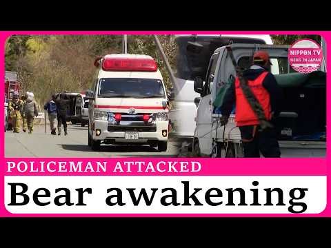 Police officer mauled by bear, body found in northern Japan