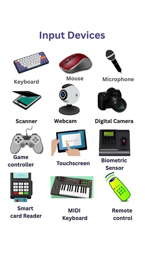 Computer Input Devices