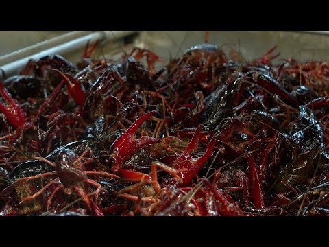 Crawfish Festival brings visitors from far and wide to Breaux Bridge businesses