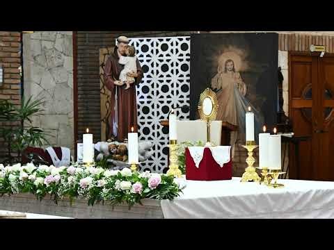 Santa Misa EN VIVO - Viernes XXIX Semana del Tiempo Ordinario - 23 de Octubre