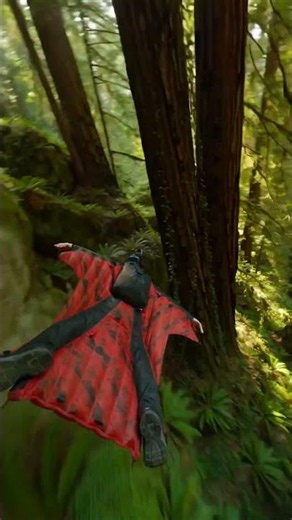 Impossible Jump #56: He BASE-Jumped Off the Redwoods?! 🌲