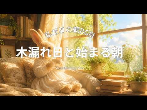 【木漏れ日と始まる朝】Sunlit Morning Vibes｜爽やかな朝にきく、やさしい朝活lofi BGM☀️