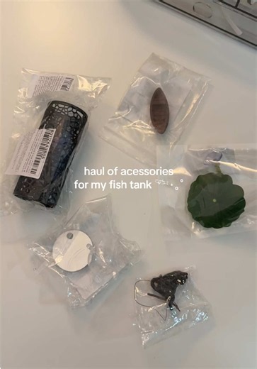 Aliexpress Betta Tank Haul: Cute Fish Tank Accessories (boat!)