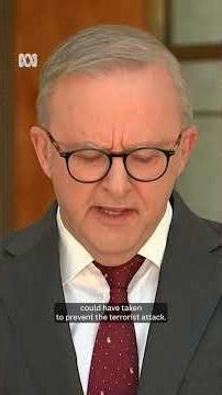 PM announces terms for Richardson review into Bondi terrorist attack | ABC NEWS