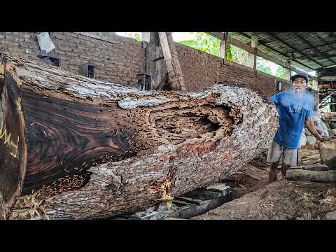 WATCH CLOSELY! Trembesi Giant Reveals Beautiful Grain During Cutting