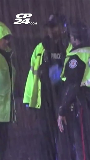 Man killed in hit-and-run in Scarborough