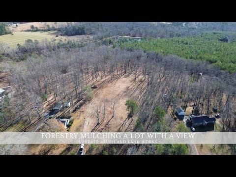 Watch this forest turn into a homesite | Forestry mulching and land clearing