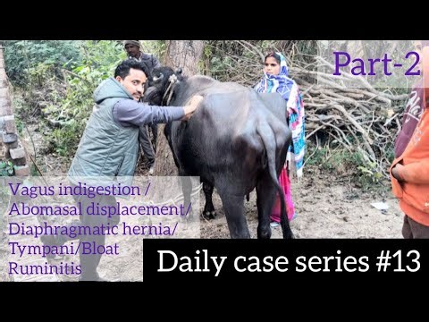 Daily case series #13//Dr.Vijay Verma