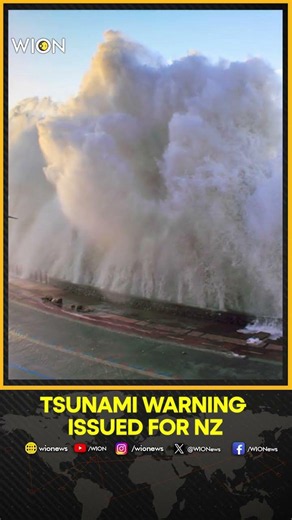 Massive Earthquake Jolts Tourist Hotspot in New Zealand, Tsunami Warning Issued | WION
