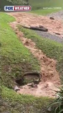 See It: Torrential Rain Floods West Virginia Neighborhoods