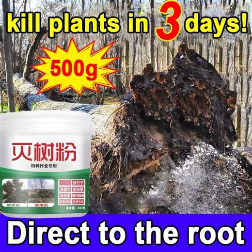 (3 Seconds to Remove Big Trees) 500g Tree Killer Chemical Hexazinone Root Removal Kill Tree and Bamboo Tree Root Killer | Lazada