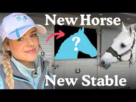 Gender Reveal - New Stable - New Horse! Stable Renovation - This Esme AD