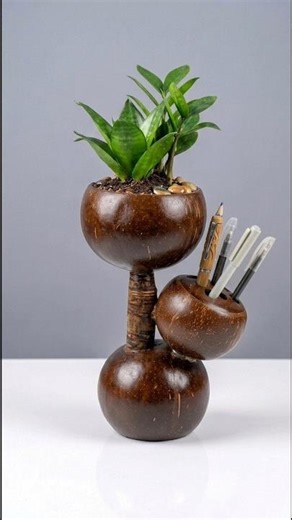 DIY Coconut Shell Plant Pot & Pen Holder | Easy Craft Idea ✨ #shorts #diy #shortsfeed #craft