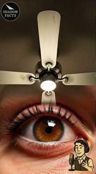 REALITY IS RENDERING: The Error In Quantum Physics | Shadow Facts