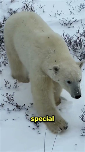 3 Times Humans Officially Lost Control