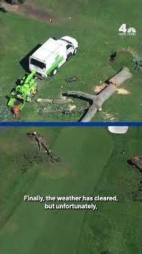 Some NJ spots still cleaning up after intense storms brought down trees | NBC New York