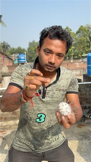 Konsa ￼anda 20 feets upor sa survive kor payega ? 🥚 Bengali mini blog #shorts