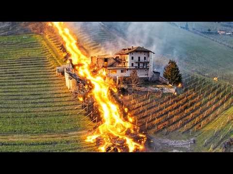 Most Unbelievable Nature Moments Ever Caught on Camera