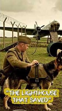 "Stronger Than Any Radar: The Invisible Superpower of Military Dogs"