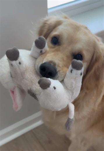 There is no stronger love than a grandparent and the dog this didn’t want you to get ♥️🥹