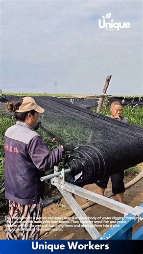 Agricultural Shade Net Rolling: Farm Workers Using Portable Hand-Crank Machine